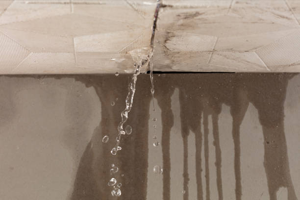 Professional Structural Drying technician working in Mount Desert, ME